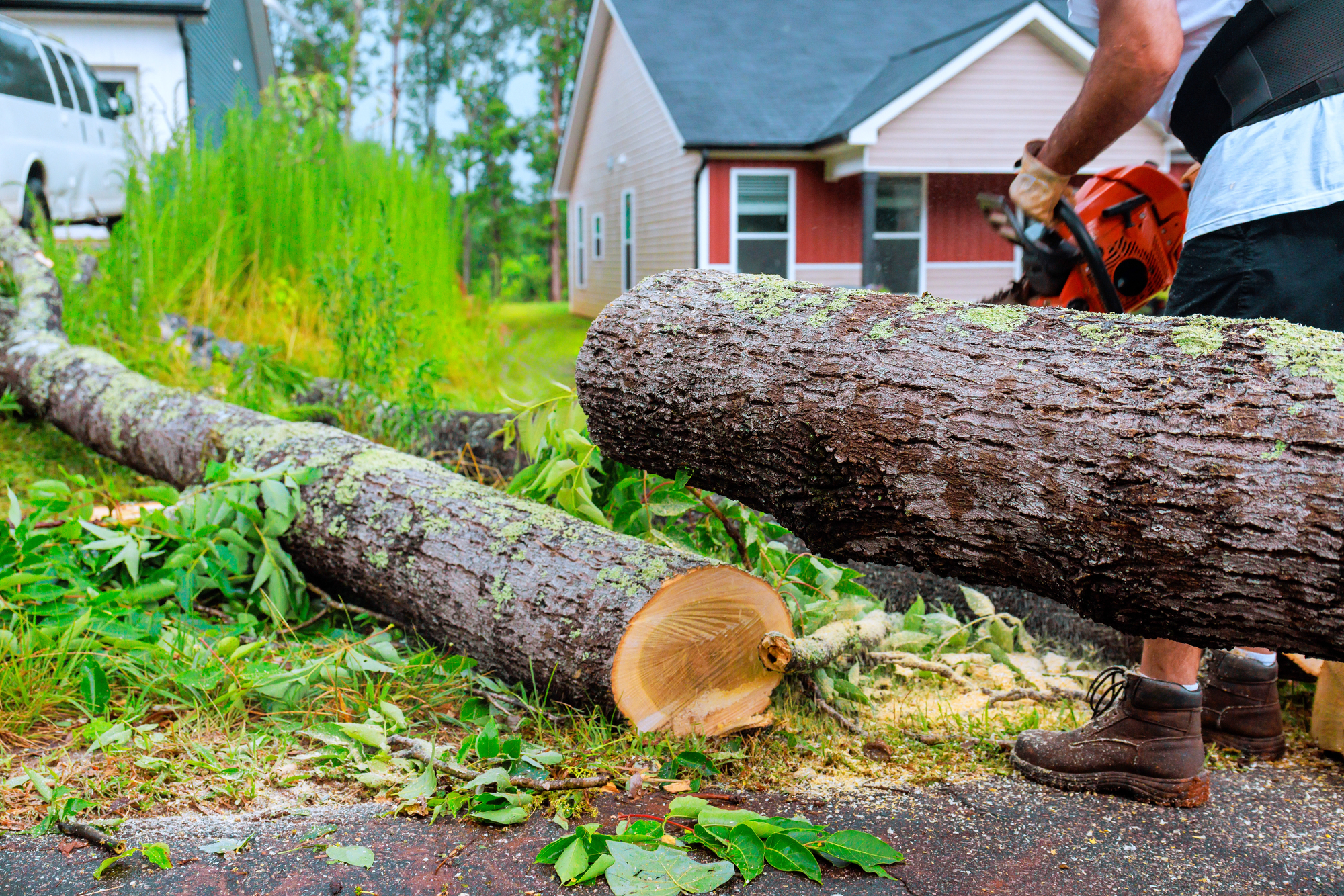 Emergency Tree Services an Kansas City, MO