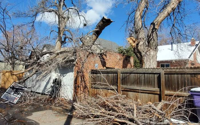 Emergency Tree Services atOverland Park, KS
