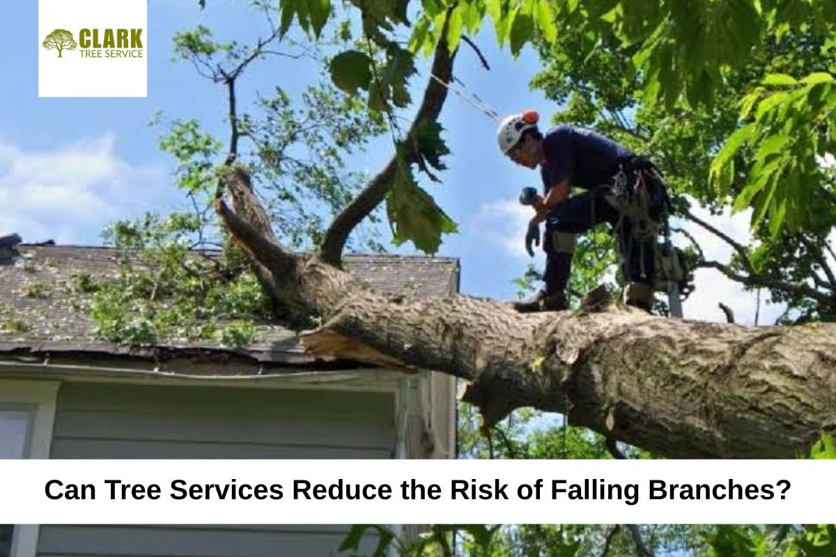 tree service